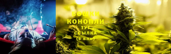мяу мяу мука Гусиноозёрск