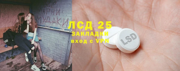 spice Дмитриев