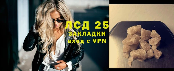 spice Дмитриев