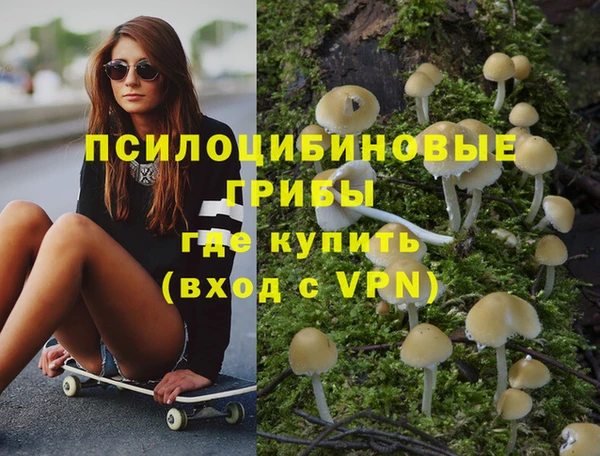 мяу мяу мука Гусь-Хрустальный