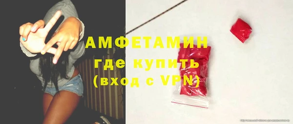 spice Дмитриев