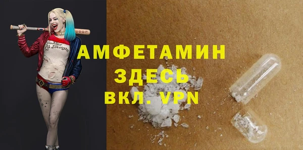 spice Дмитриев