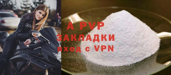 крисы Гусев